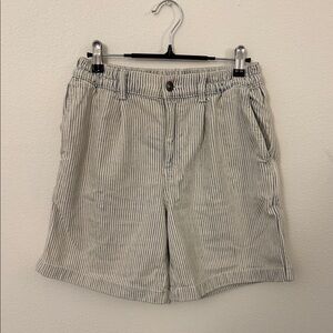 Aerie Striped Blue and White Shorts